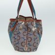 CELINE C saluki Hand Bag Coated Canvas Gray Brown blue 80171 For Cheap