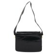 CELINE Horse Carriage Shoulder Bag Leather Black bs6574 For Cheap