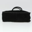 CELINE Hand Bag Suede Black bs6034 Fashion