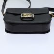 CELINE Horse Carriage Shoulder Bag Leather Black bs13870 Online Hot Sale